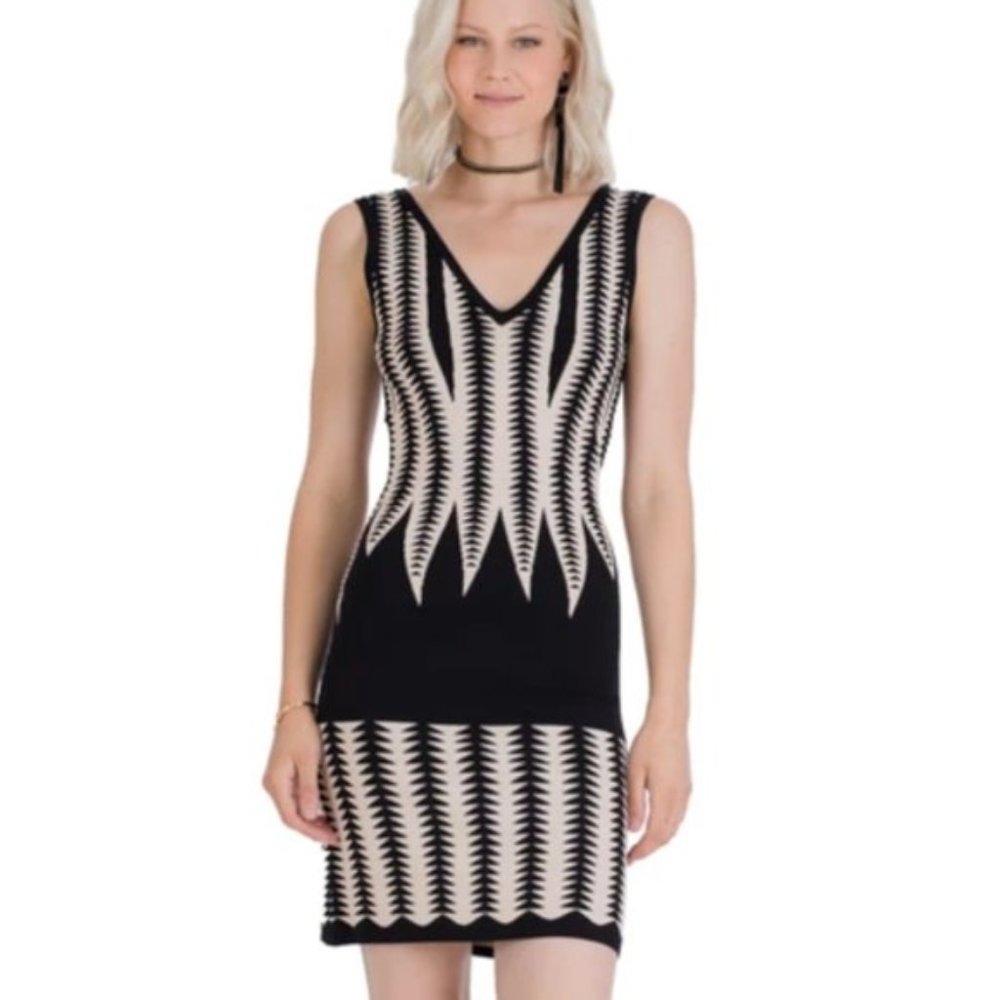 ✨NWT✨Vertigo Paris Fitted Sweater Dress